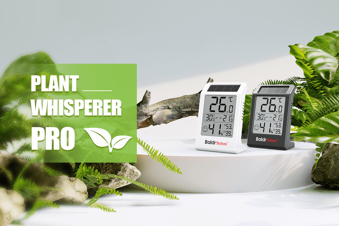 How the BaldrTherm Hygrometer Transforms Plant Care for Indoor Jungles