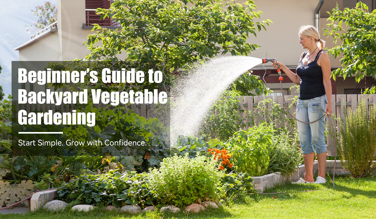 Beginner’s Guide to Backyard Vegetable Gardening