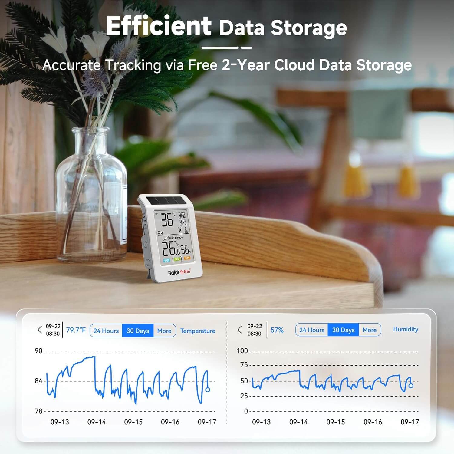 BaldrTherm WiFi Bluetooth Thermometer Hygrometer, Solar Boost, WiFi Remote Monitoring, Smart Alerts (Black Ice), City Temp Sync for Home/Baby Room/Plant Room, 1pack