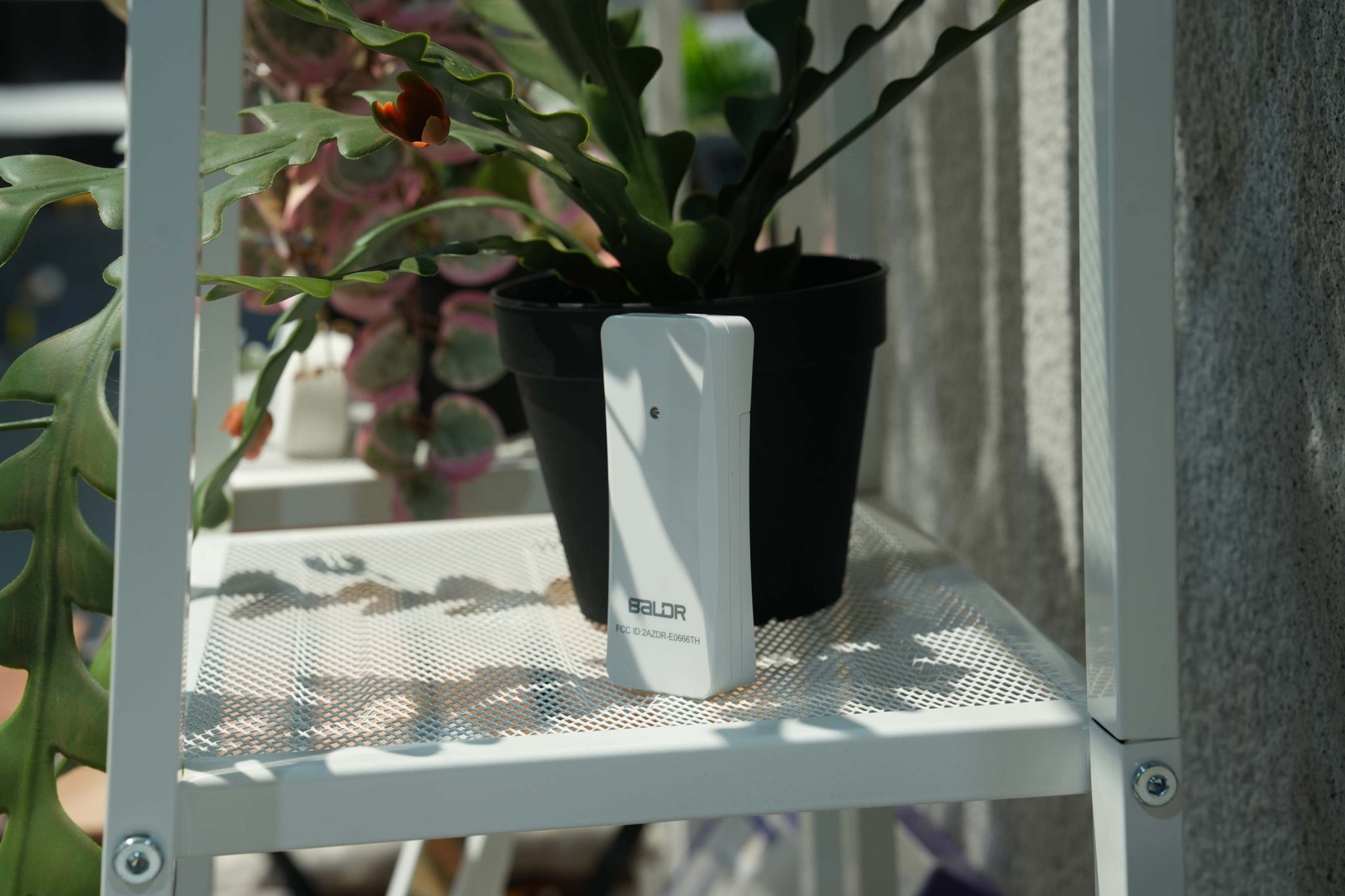 BALDR Wireless Temperature & Humidity Sensor 