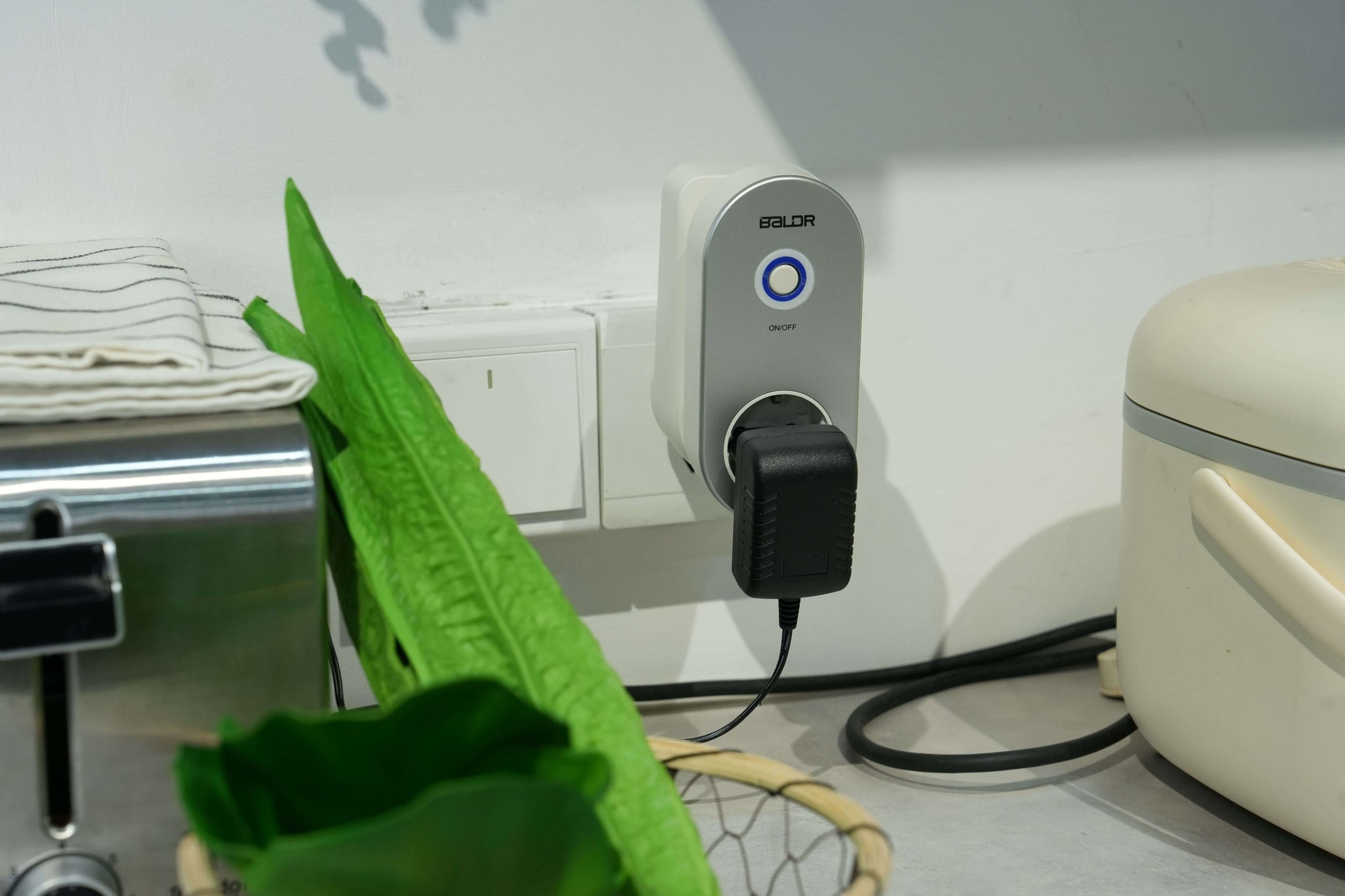 BALDR Plug, WiFi Smart Plugs with APP Remote Control, 2.4GHz Wi-Fi Only