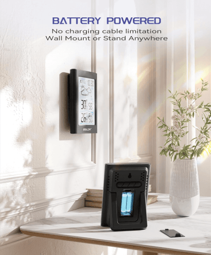 BaldrTherm Wireless Weather Station – Indoor & Outdoor Temp/Humidity