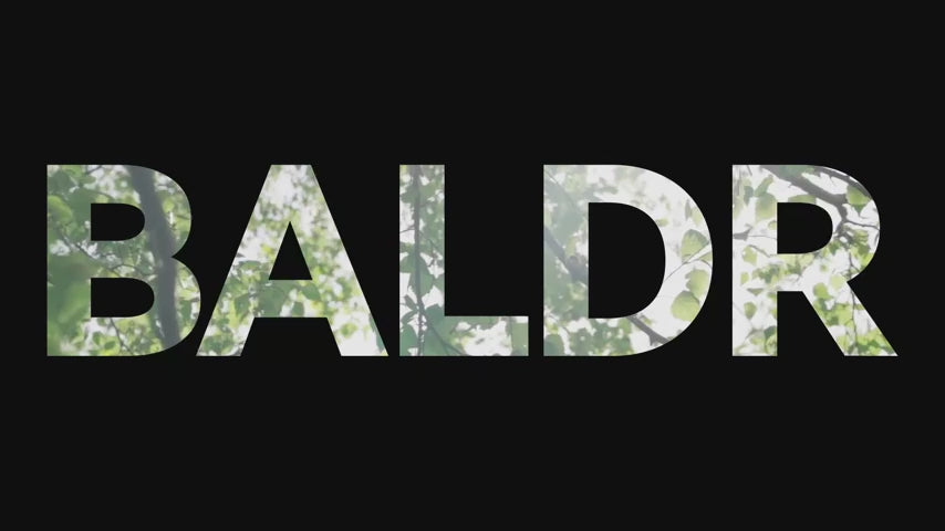 BaldrTherm Solar Car Battery Charger for 12V Vehicles